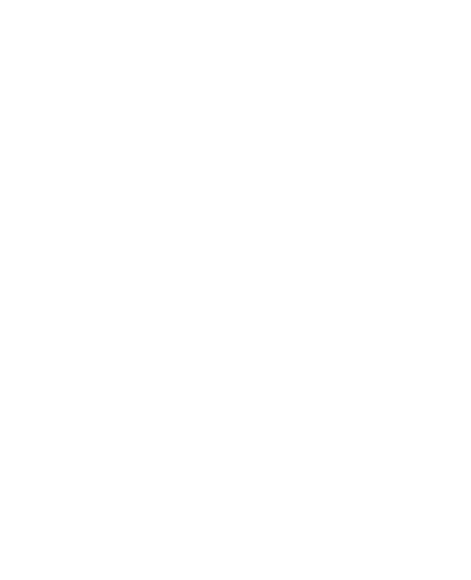 Colonnade BridgePort Companies Organization Chart